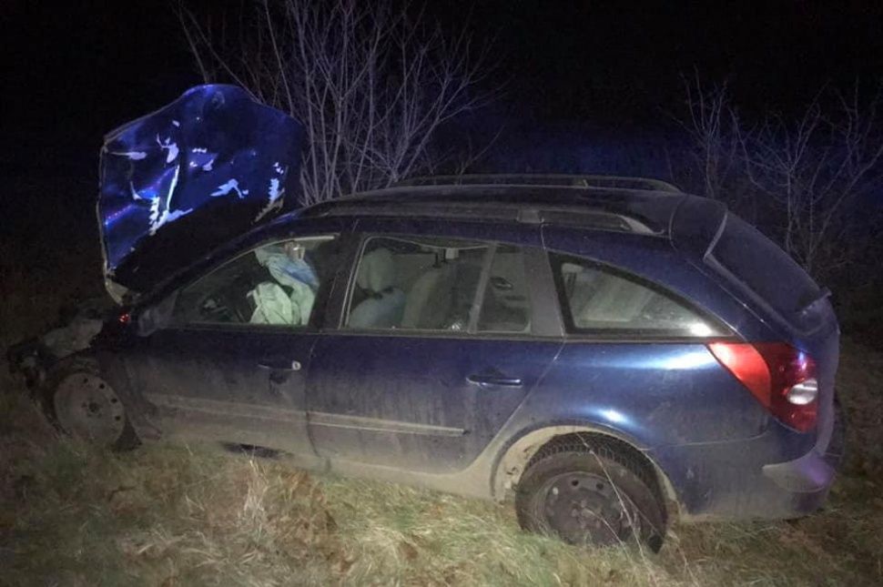 Elütöttek egy medvét Parajd közelében (FRISSÍTVE)