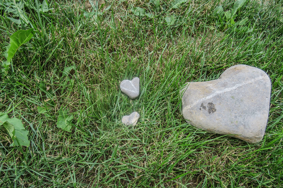 Szívecskék lepik el a Szejkére vezető sétányt