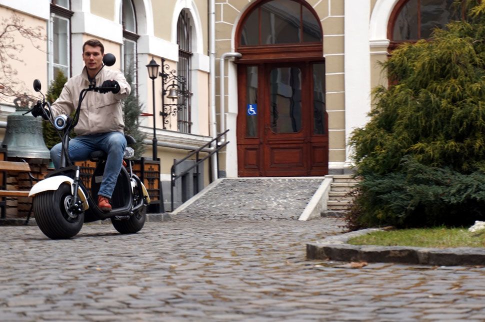 Mik ezek a csodabogarak? (videóval)