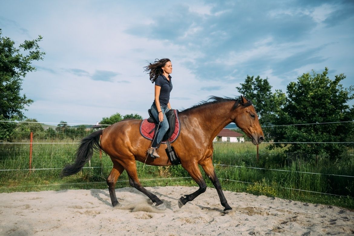A ló többet ad, ha magától adhatja