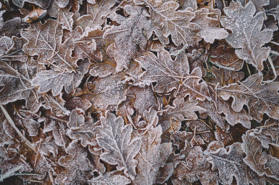 A hideg napokat enyhe felmelegedés követi