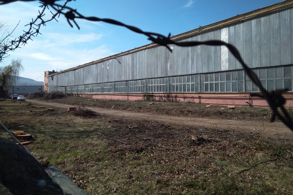 Kivágatta a fákat a Matrica gyár új tulajdonosa (videóval)