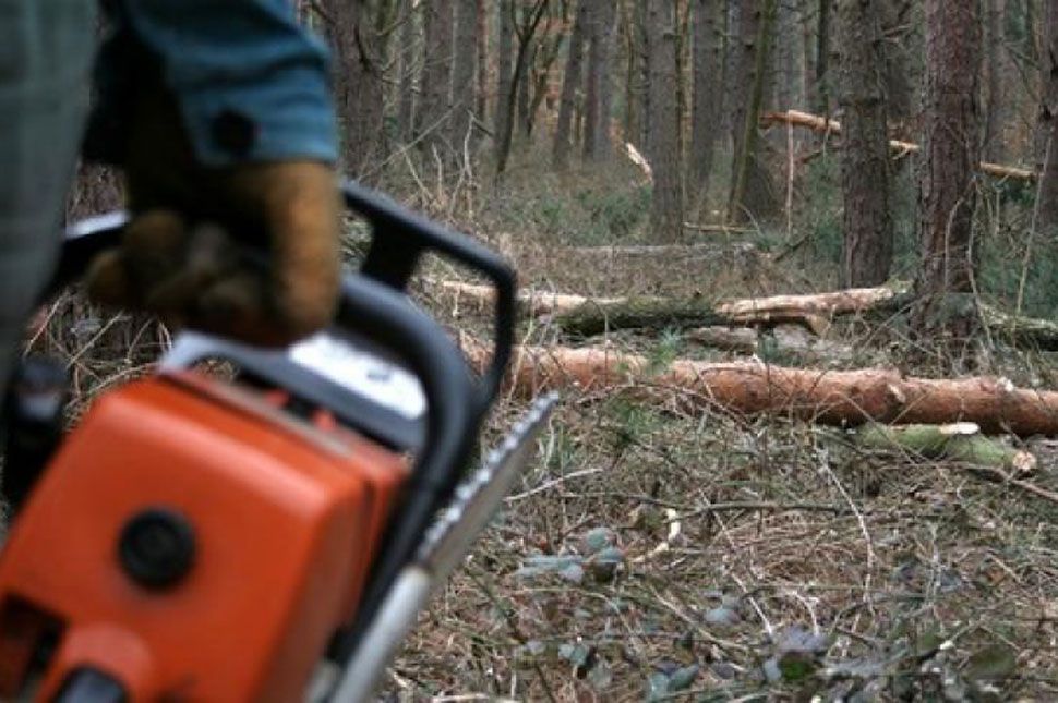 Kiskorú szekerest büntettek a rendőrök