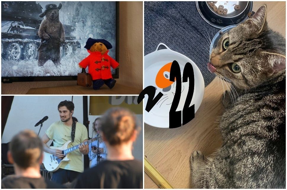 ‘22 legjobbjai: háború, buli, macska