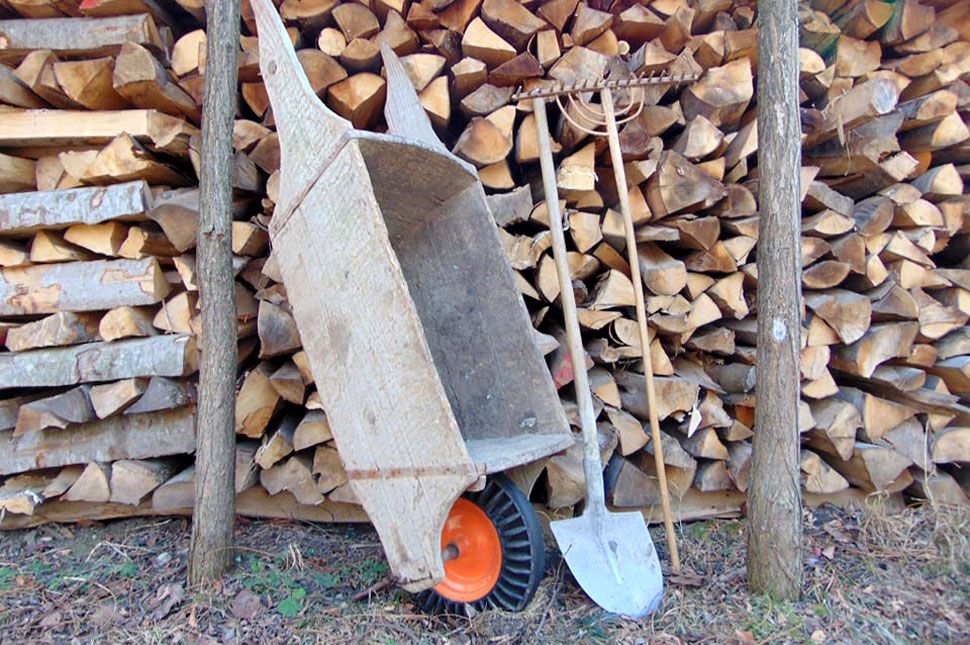 Nagylapáttal kell falni az életet, zetelaki fiatalok!