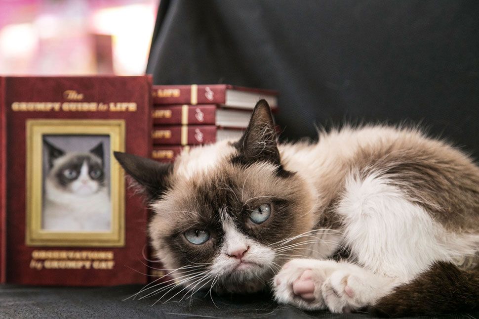 Pert nyert, mégse örül, mi az?