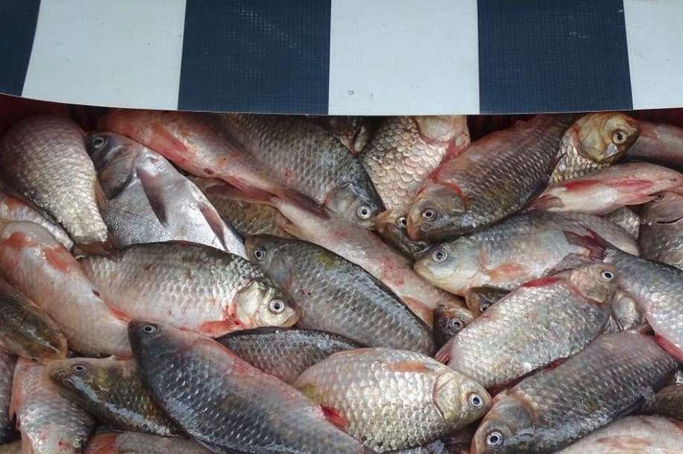 Megmentettek az ételmérgezéstől