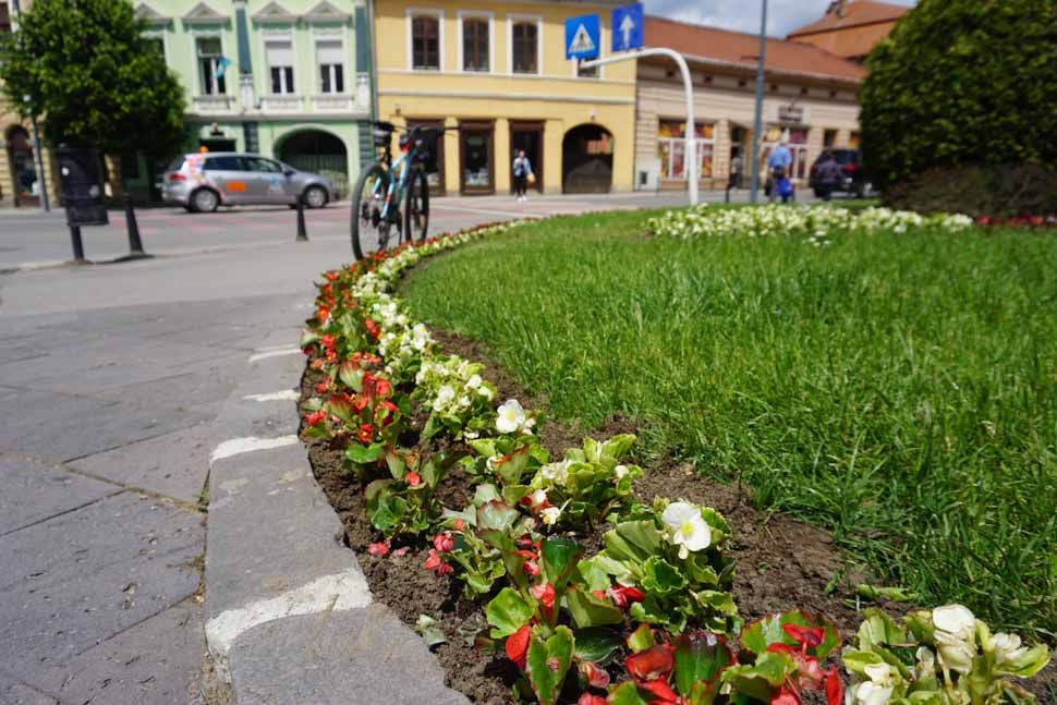 Szó szerint felvirágoztatják az országot