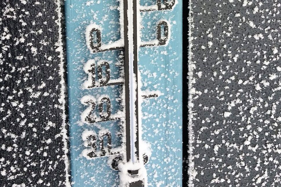 Mit sejtet Katalin a havat váróknak?