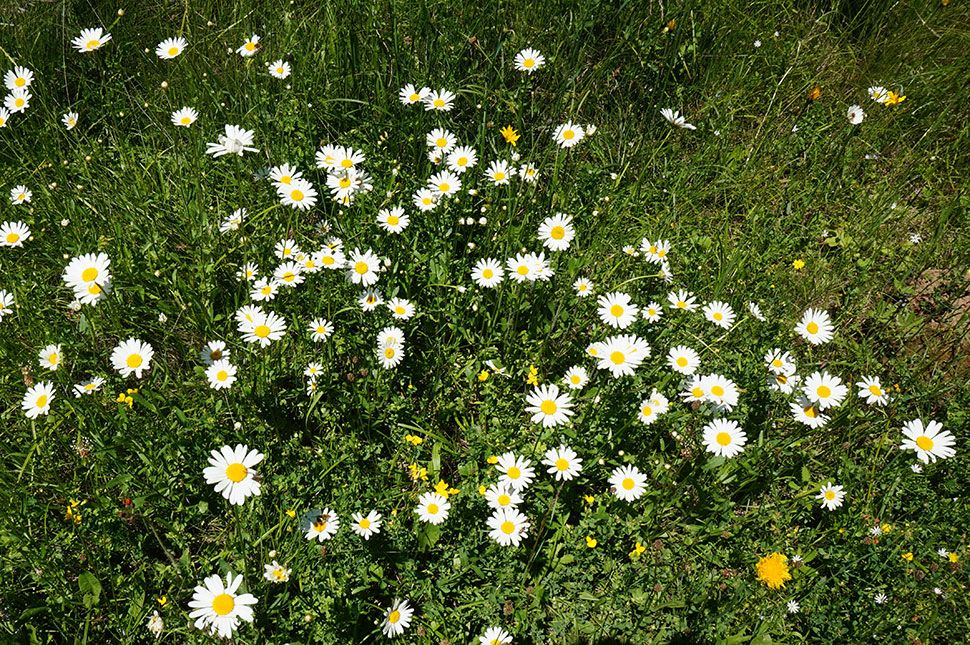 Ilyen idő lesz a következő időszakban