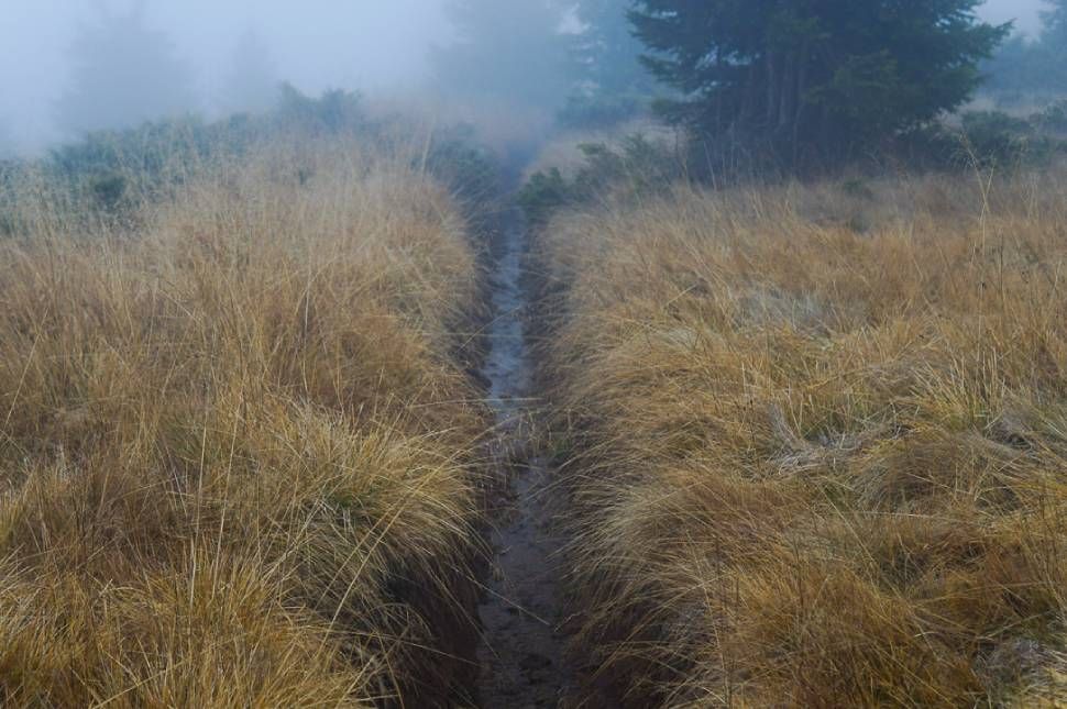 Pethő magának árkot ás, de nem ő esik bele