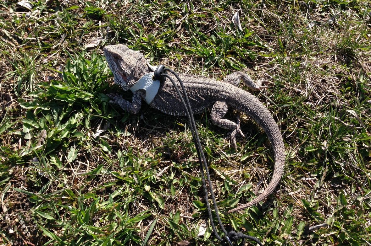 Vigyázzunk, nehogy a tavaszi szélben meghülljünk