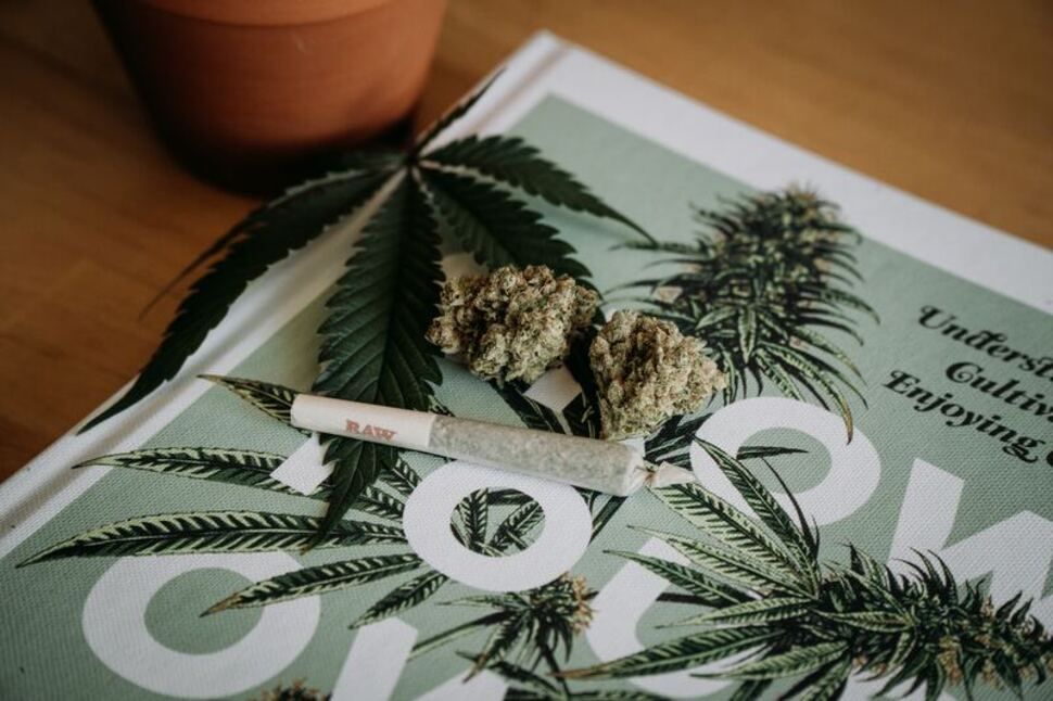Dekriminalizálnák a kannabisz birtoklását