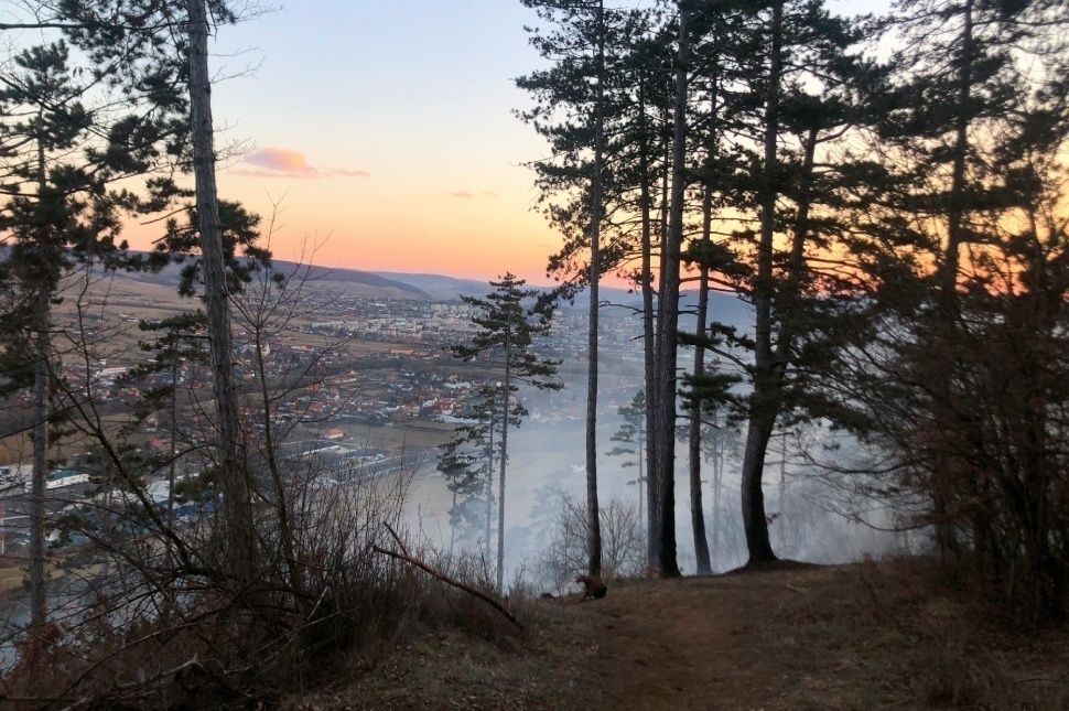 Tűzgyújtás okozhatta a kadicsfalvi Rez kigyulladását (videóval, frissítve)