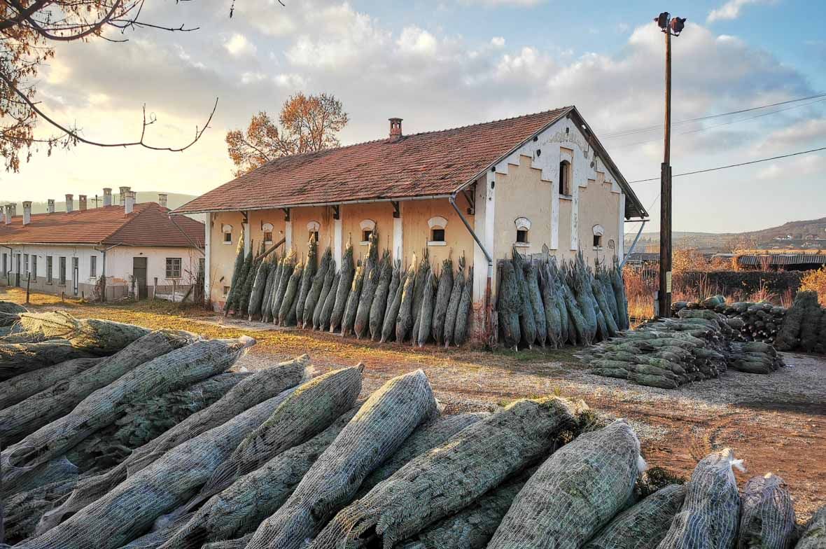 Kisült már a malacka, és kolbász van a padláson