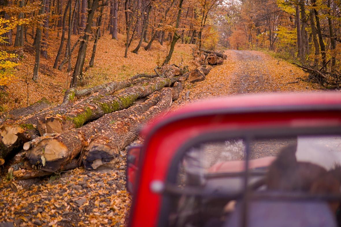 A legkisebb falopás is lopás