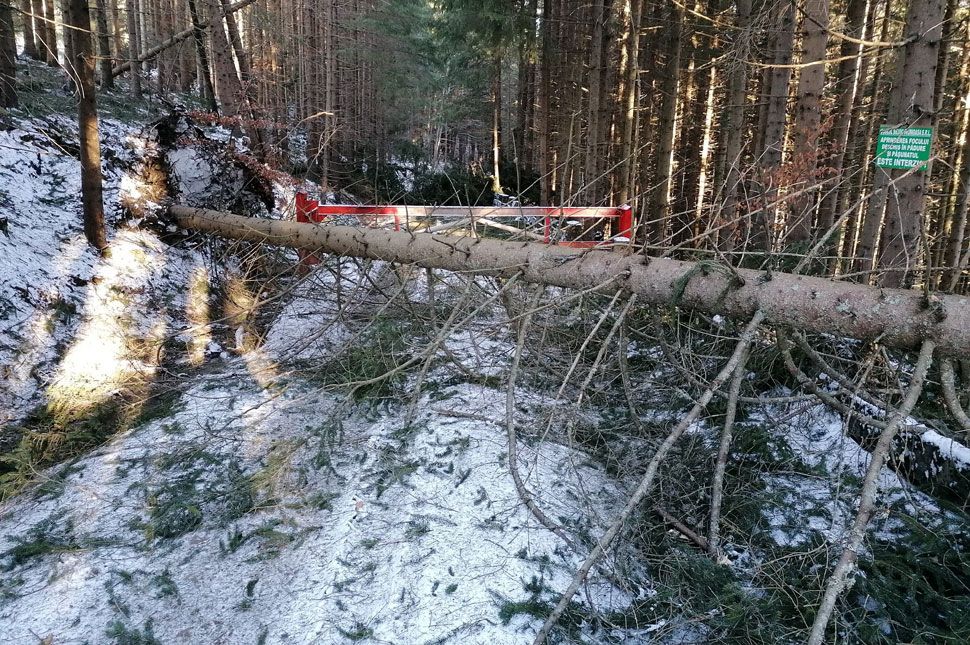 Elmarad az EKE teljesítménytúrája