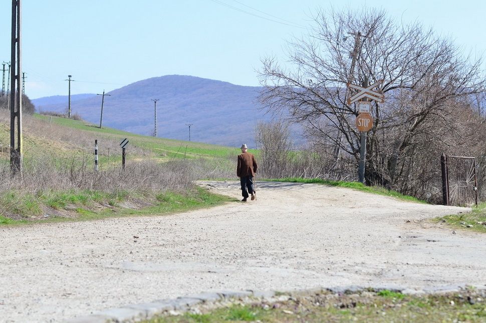 Kinézek a temetőbe