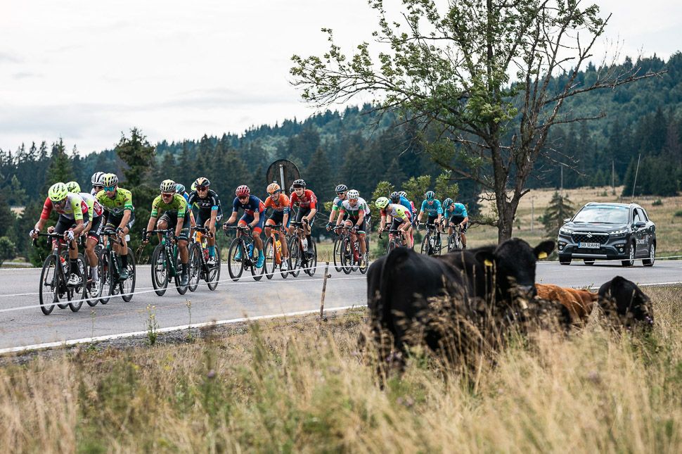 Közülük kerülhet ki a végső győztes