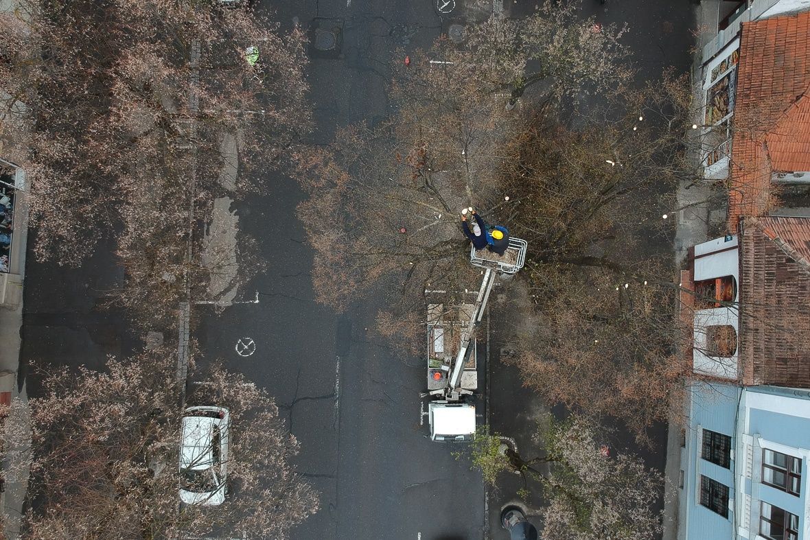 Valaki jár a fák hegyén. Druzsbával