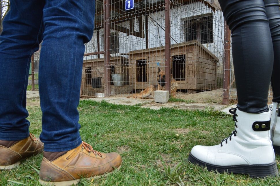 Kutya jó hely épült a város végén, csak át kellene adni