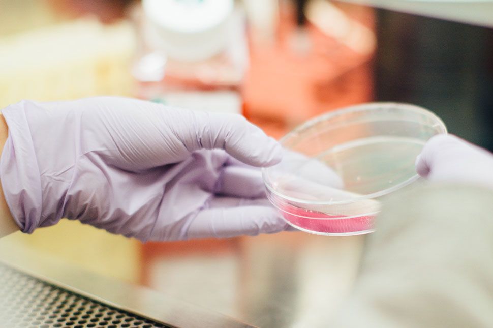 Nagyot ugrott a betegek száma az országban