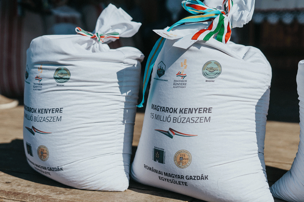 800 tonna udvarhelyszéki búzából sül a Magyarok Kenyere