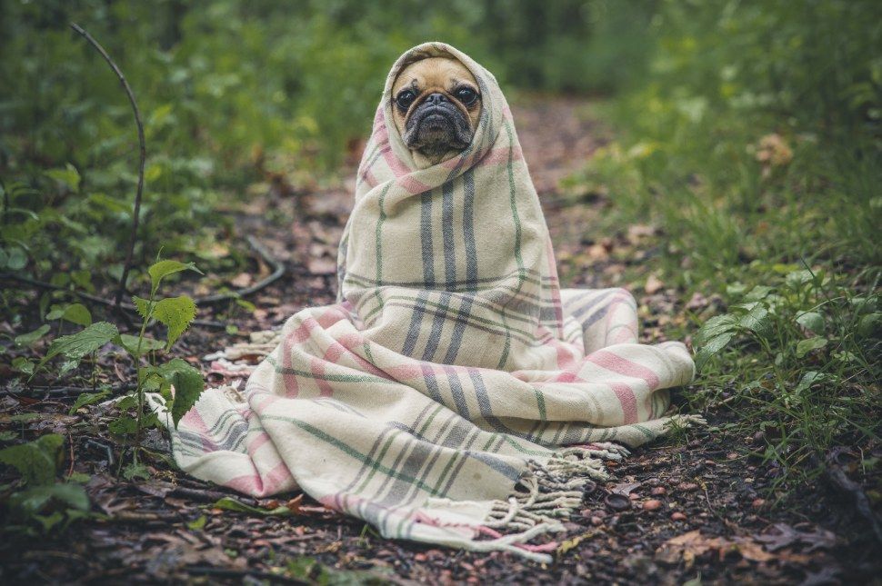Ekkor lehet az első havazás