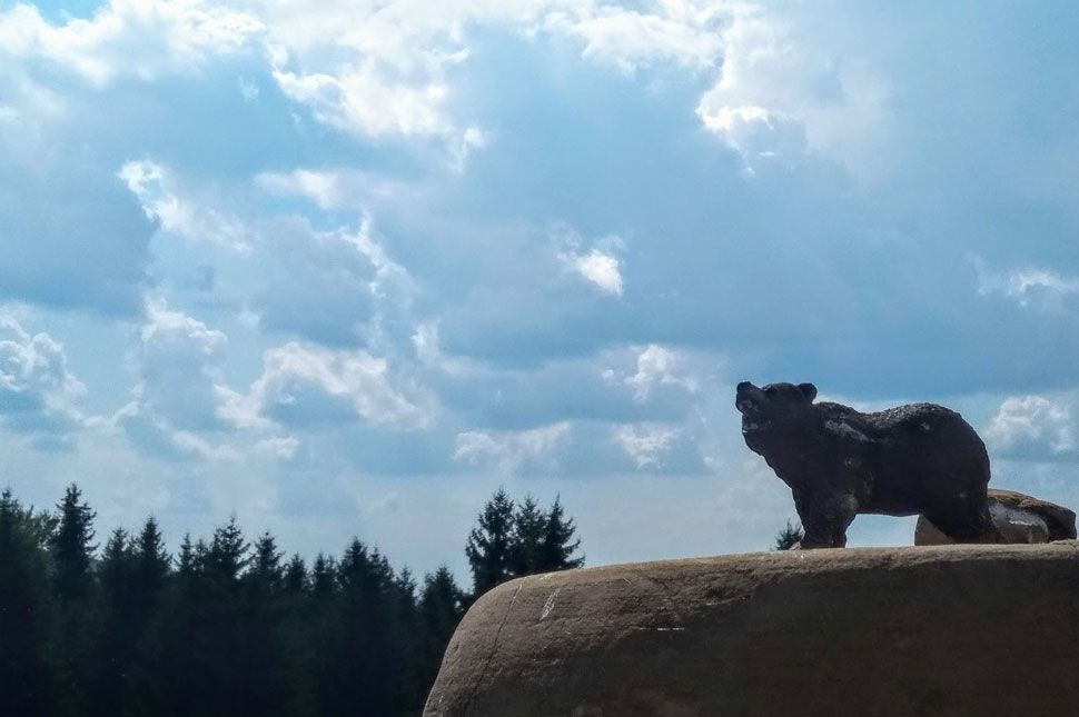 Medvék. Medvék, mindenhol!