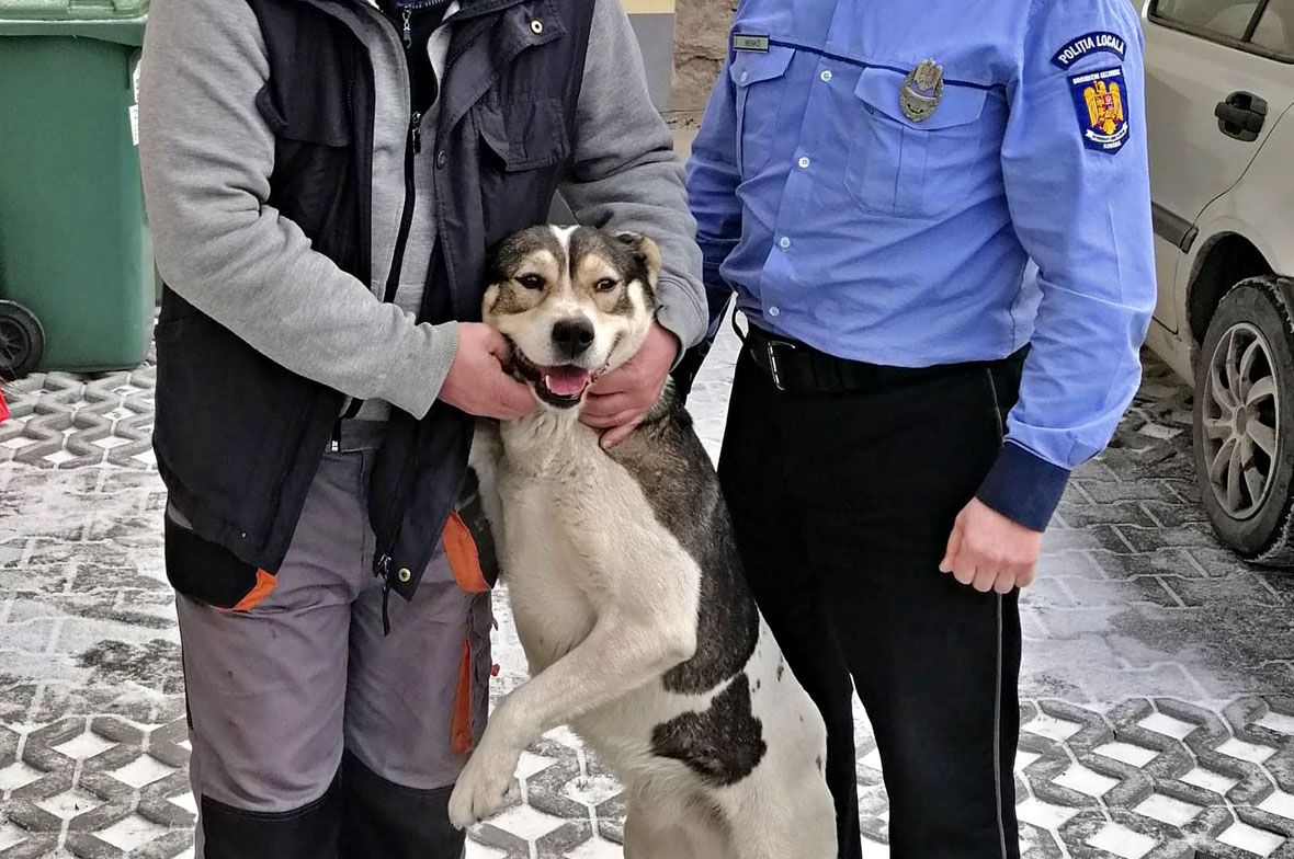 Állatrendőrséget hoz létre az állam