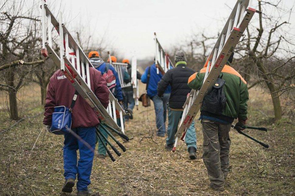 Napszámosokat közvetít a városháza