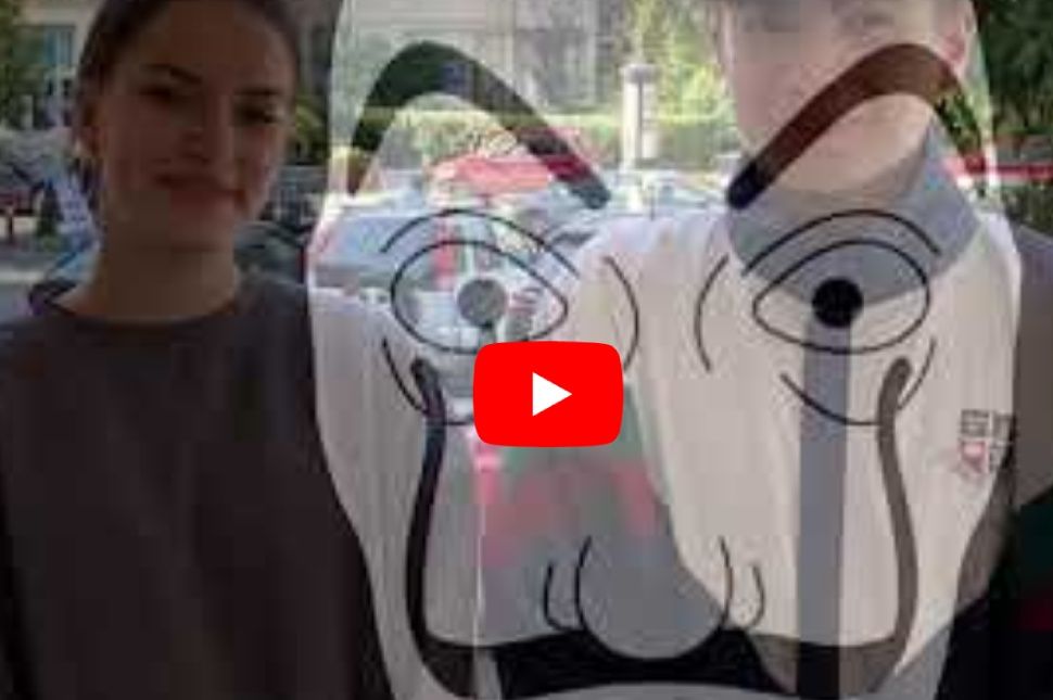 Ilyen lesz a refisek gólyabálja (videó)