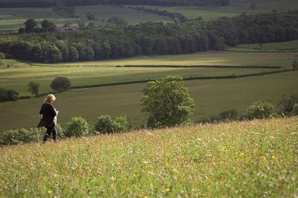 Nem hagy magunkra a nyár