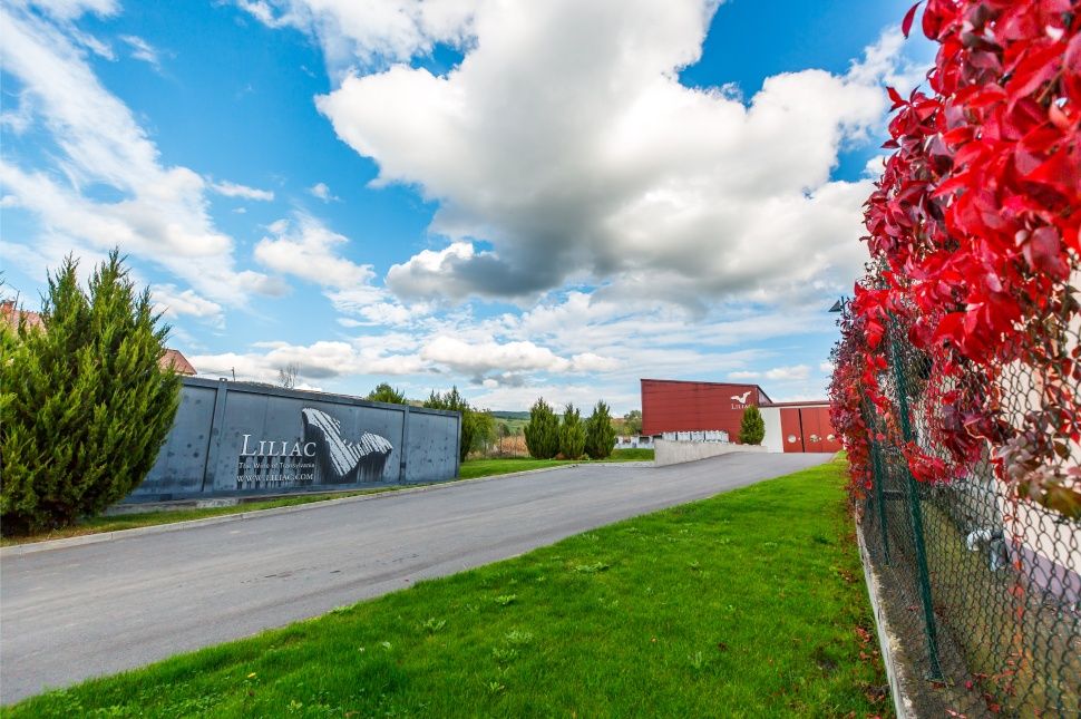 Liliac: a bor, amitől forr a véred