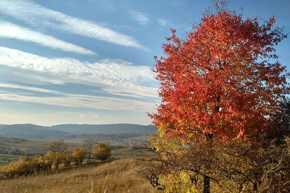Visszatapsoltuk a nyarat