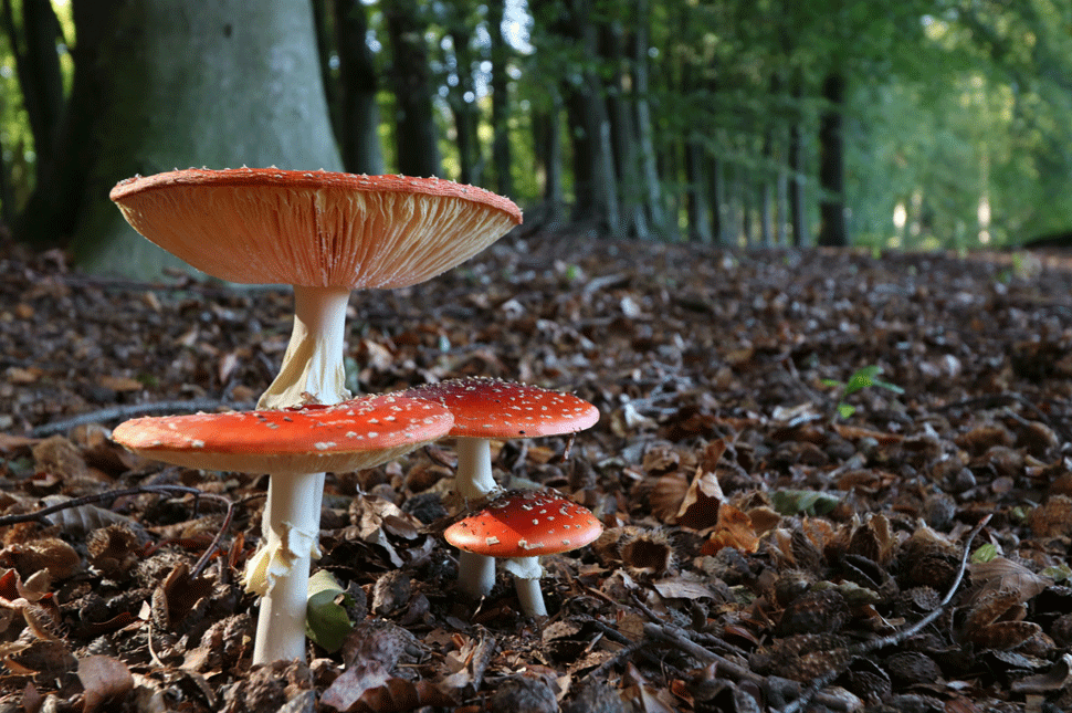 Tucatnyi ország került piros zónába