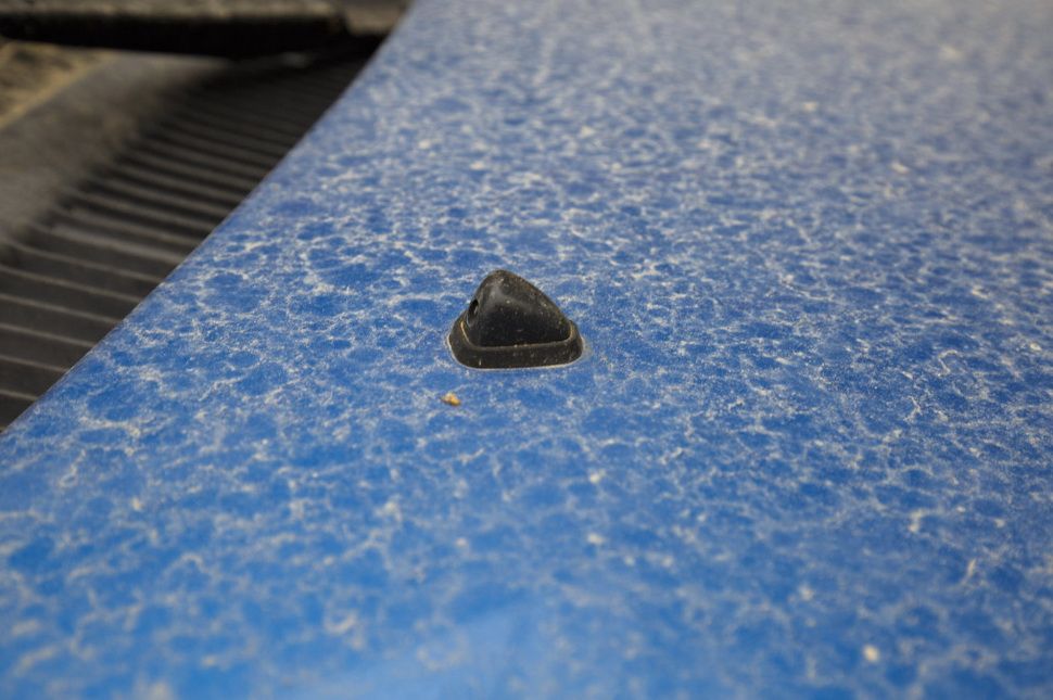 Majálisra homokos helyre vágysz?