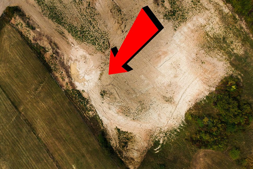 Egy csoda: merev vékony pénisz jelent meg a ribizlibányában (FRISSÍTVE)