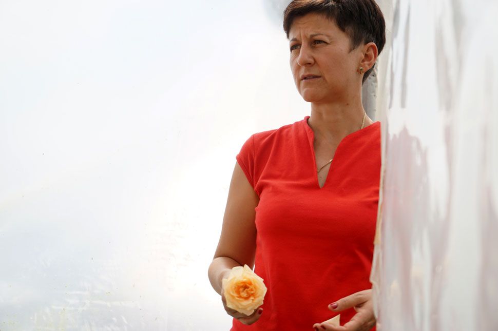 Amíg a rózsaszálak összeérnek