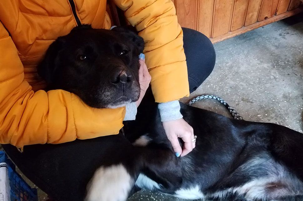 SándORR keresi az igazit