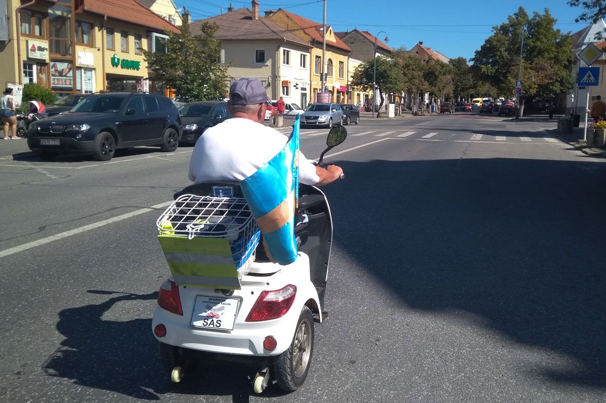 Sas a fészeknek, sas a fészeknek