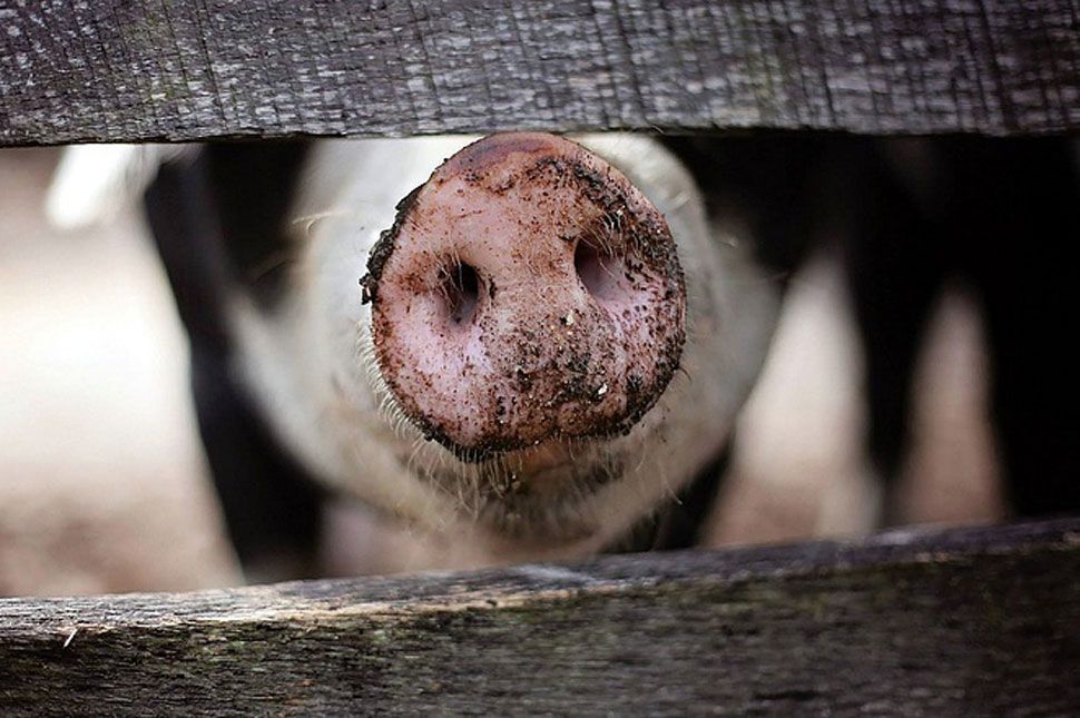 Jobb félni, mint megijedni
