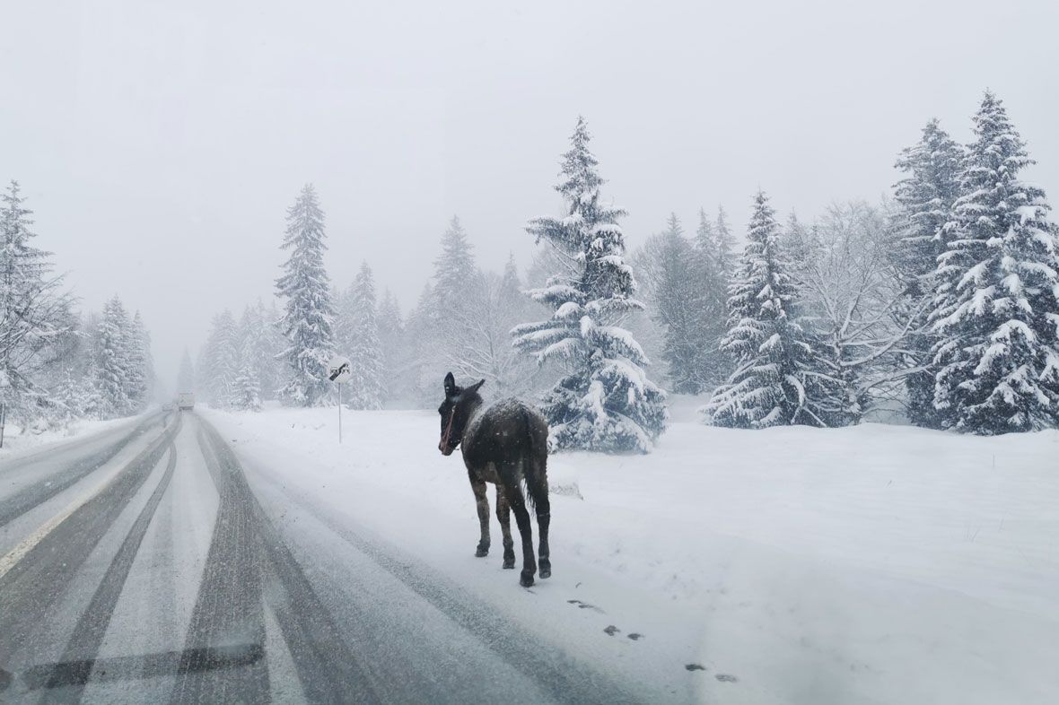 Csúszósak, de járhatók az utak a megyében
