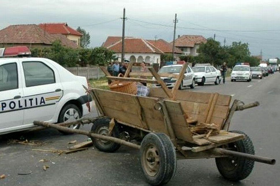 Lopott lónak ne nézd a fogát!