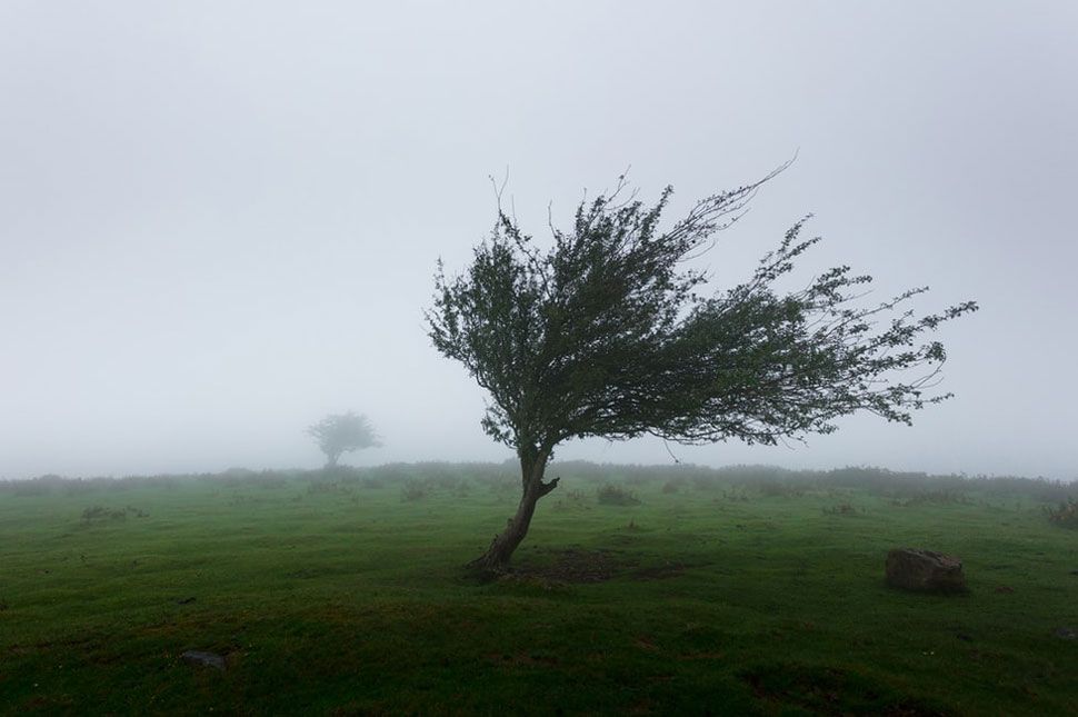 Felerősödik a szél