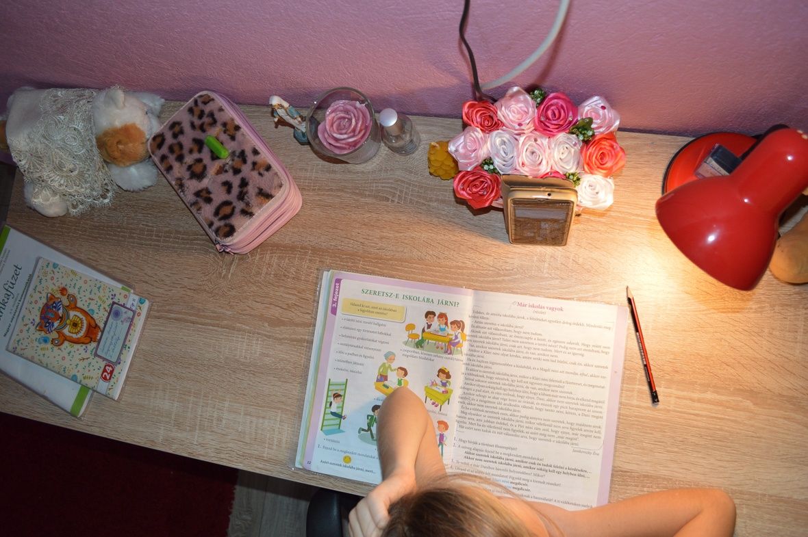 Szeretsz e-iskolába járni?