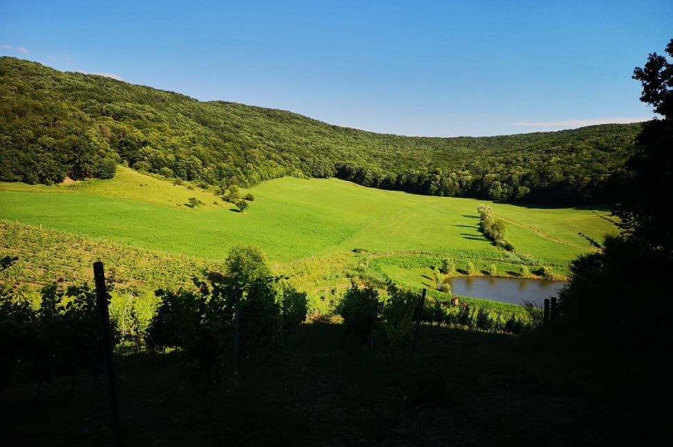 A rejtélyes völgy titka