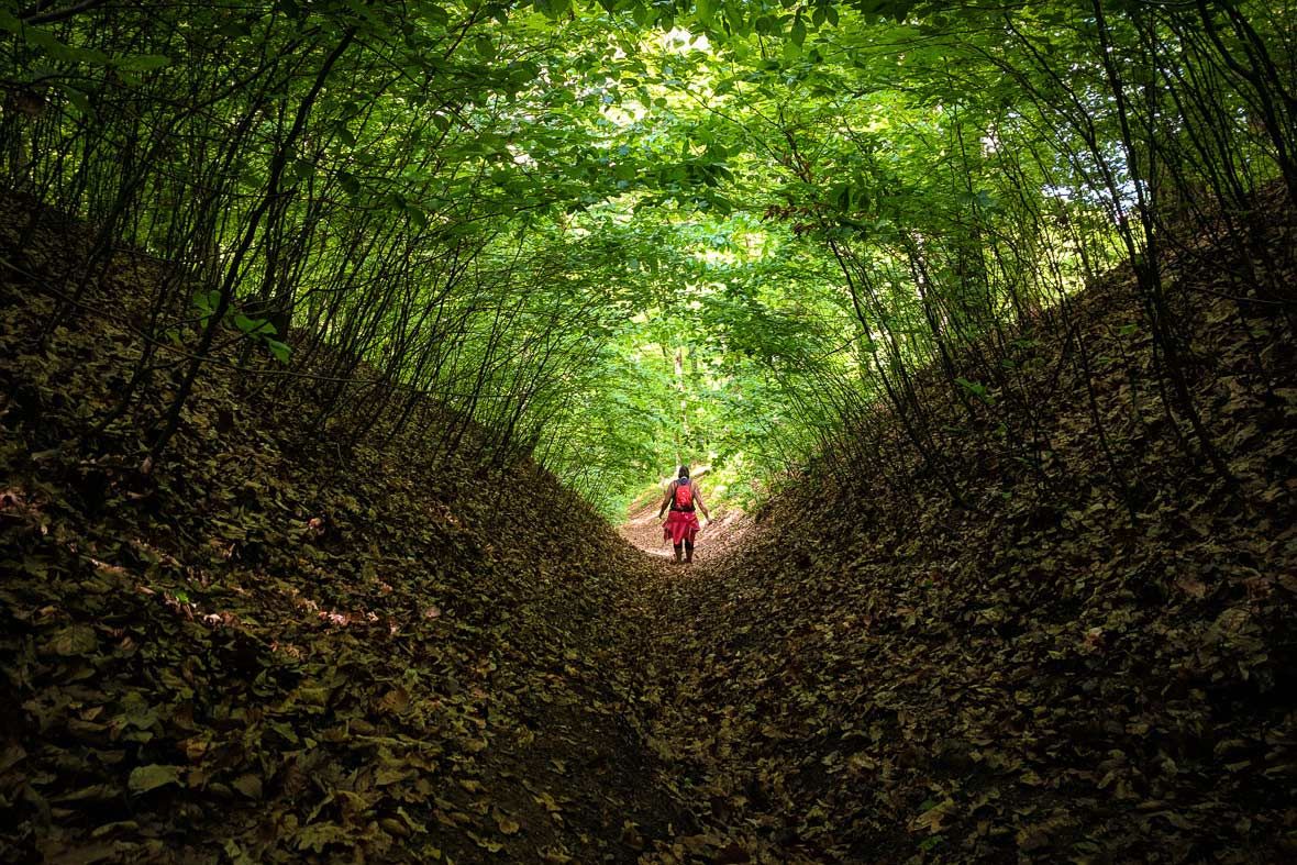 Nem a jeleket kell követni, hanem az agyadat