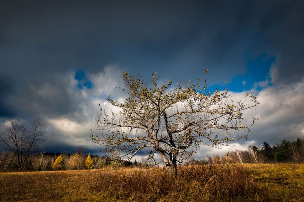 Enyhülő, változékony idő lesz a héten