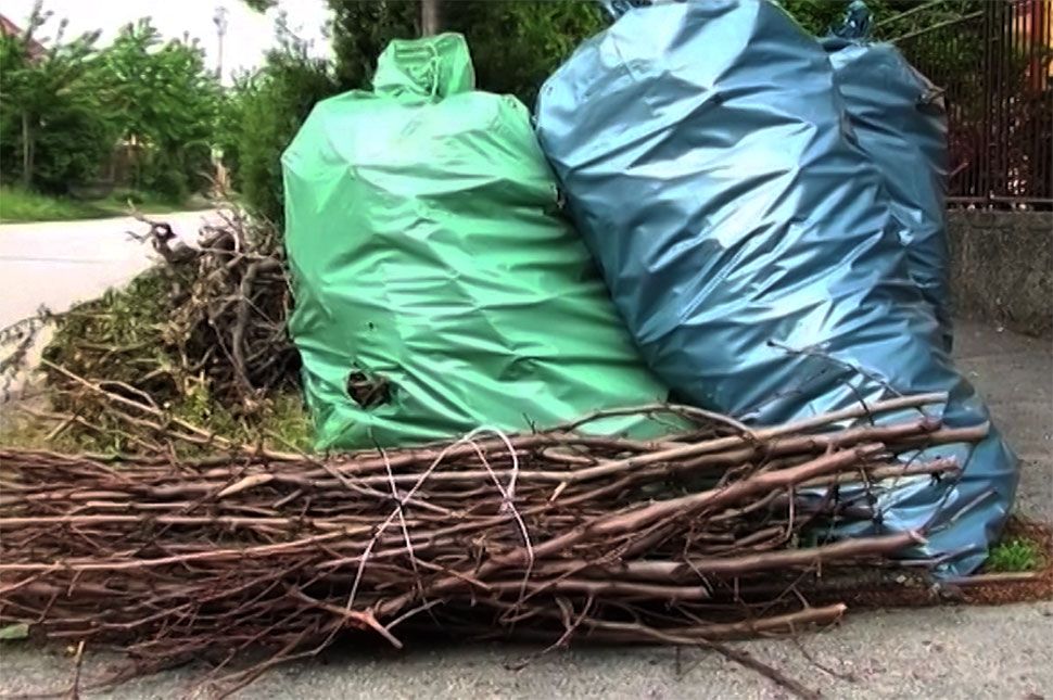 Szombaton gyűjtik a zöldet